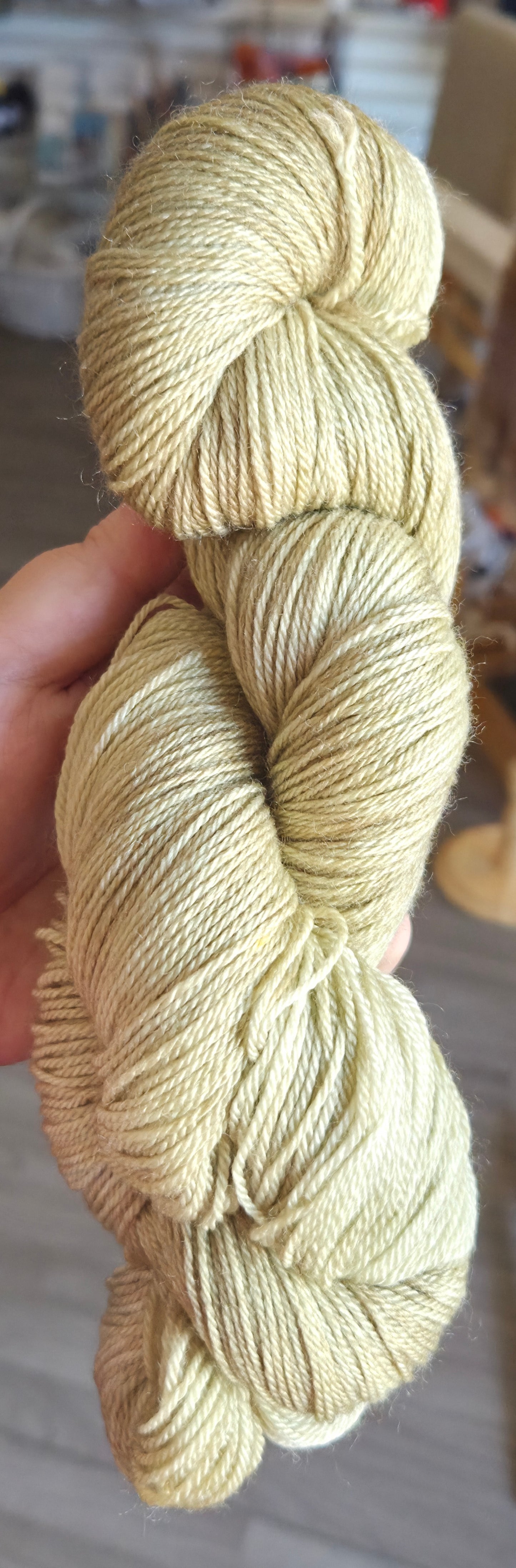 June 2026 Color of the Month: Costal Clash