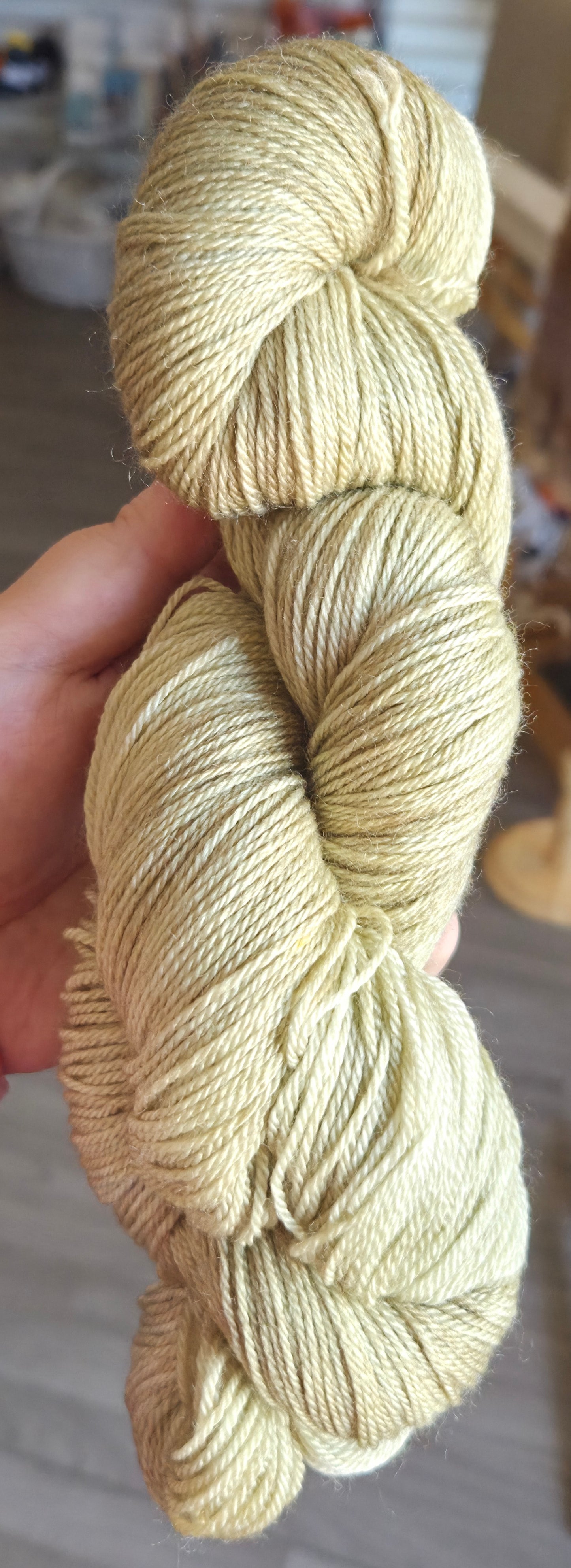 June 2026 Color of the Month: Costal Clash