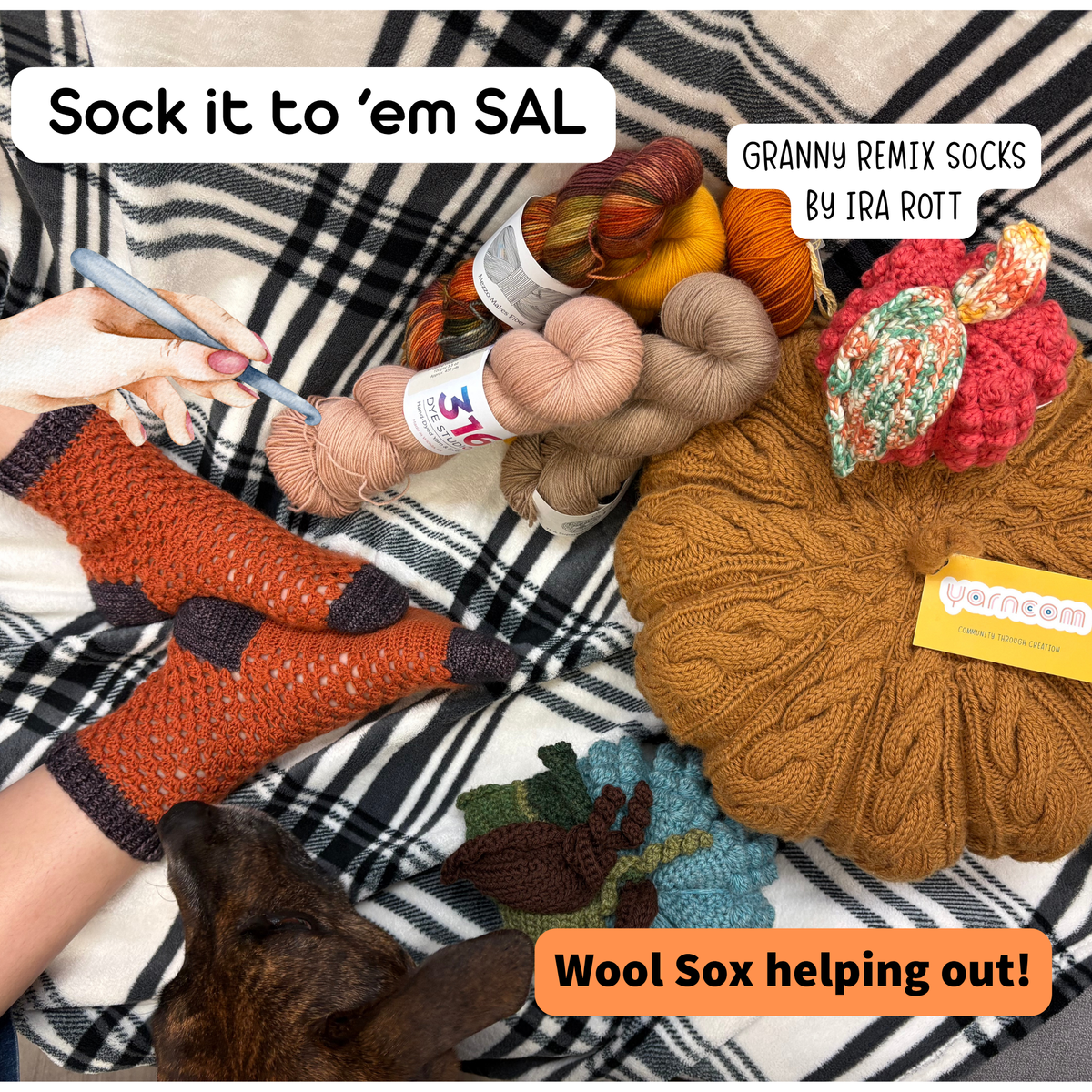 Sock it to 'em SAL '26
