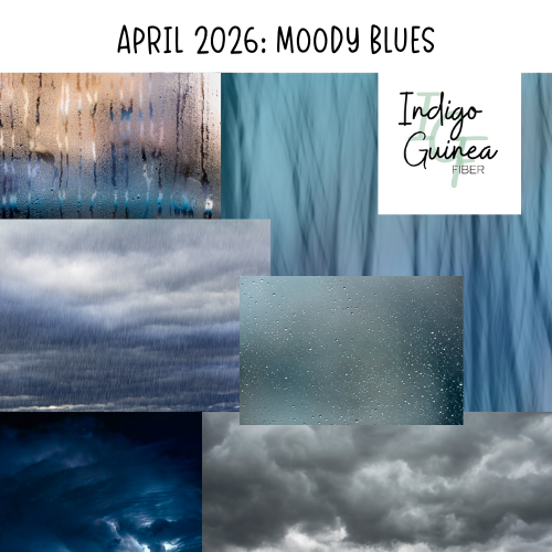 Color Me Stitched in 26 Annual Yarn Subscription