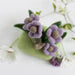 Garden Snail Mini Needle Felting Kit