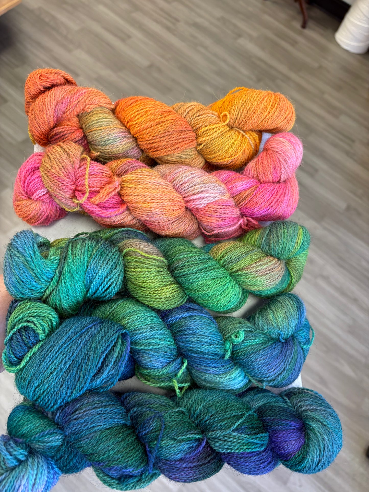 February 2026 Color of The Month: Neon Crush Littermates