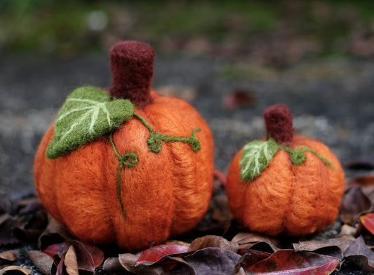 Pumpkin Needle Felting Kit