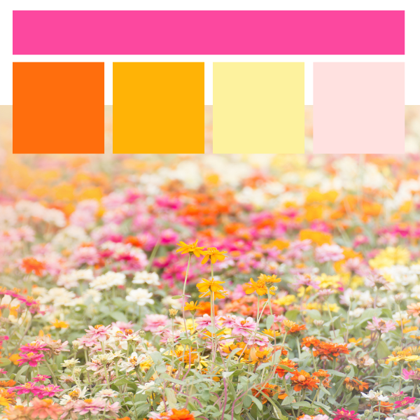 May 2026 Color of the Month: Bloom Bomb