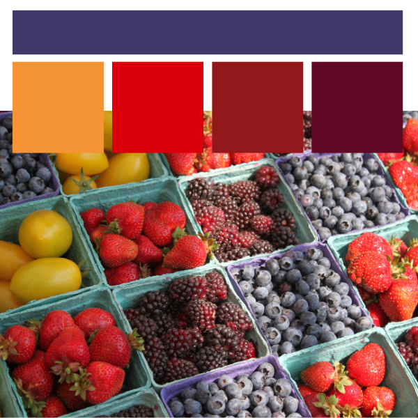 July 2026 Color of the Month: Summer Jams