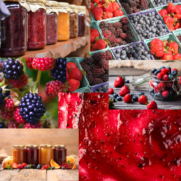 July 2026 Color of the Month: Summer Jams