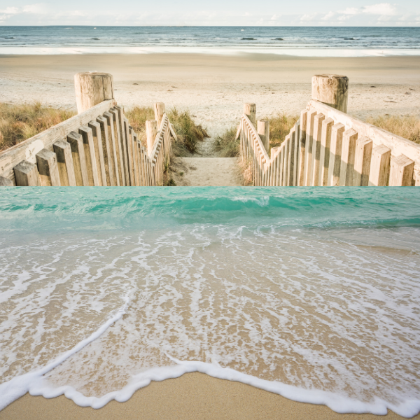 June 2026 Color of the Month: Costal Clash