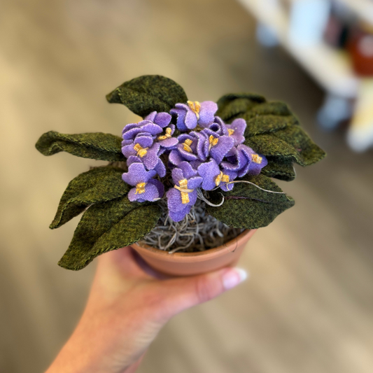 Violet Kit