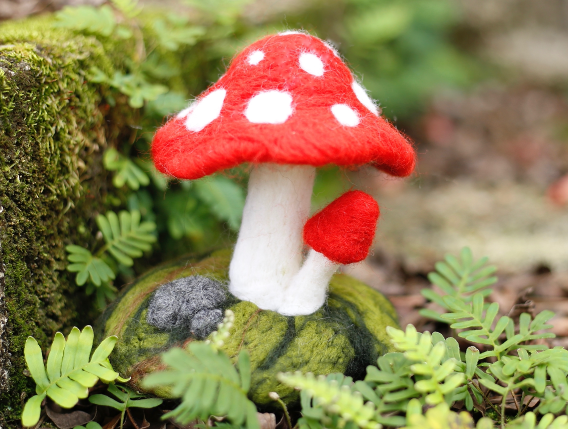 Toadstool Needle Felting Kit
