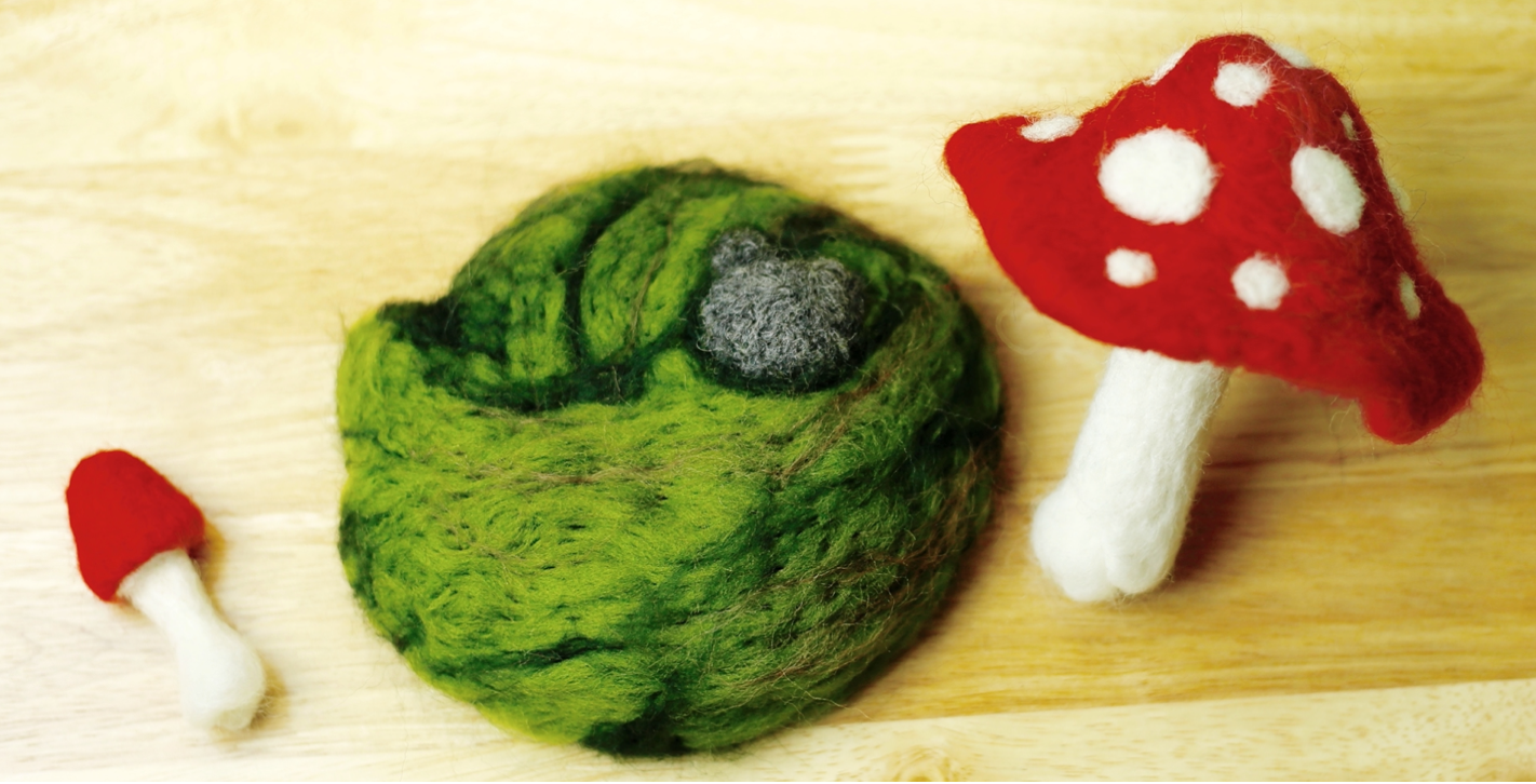 Toadstool Needle Felting Kit