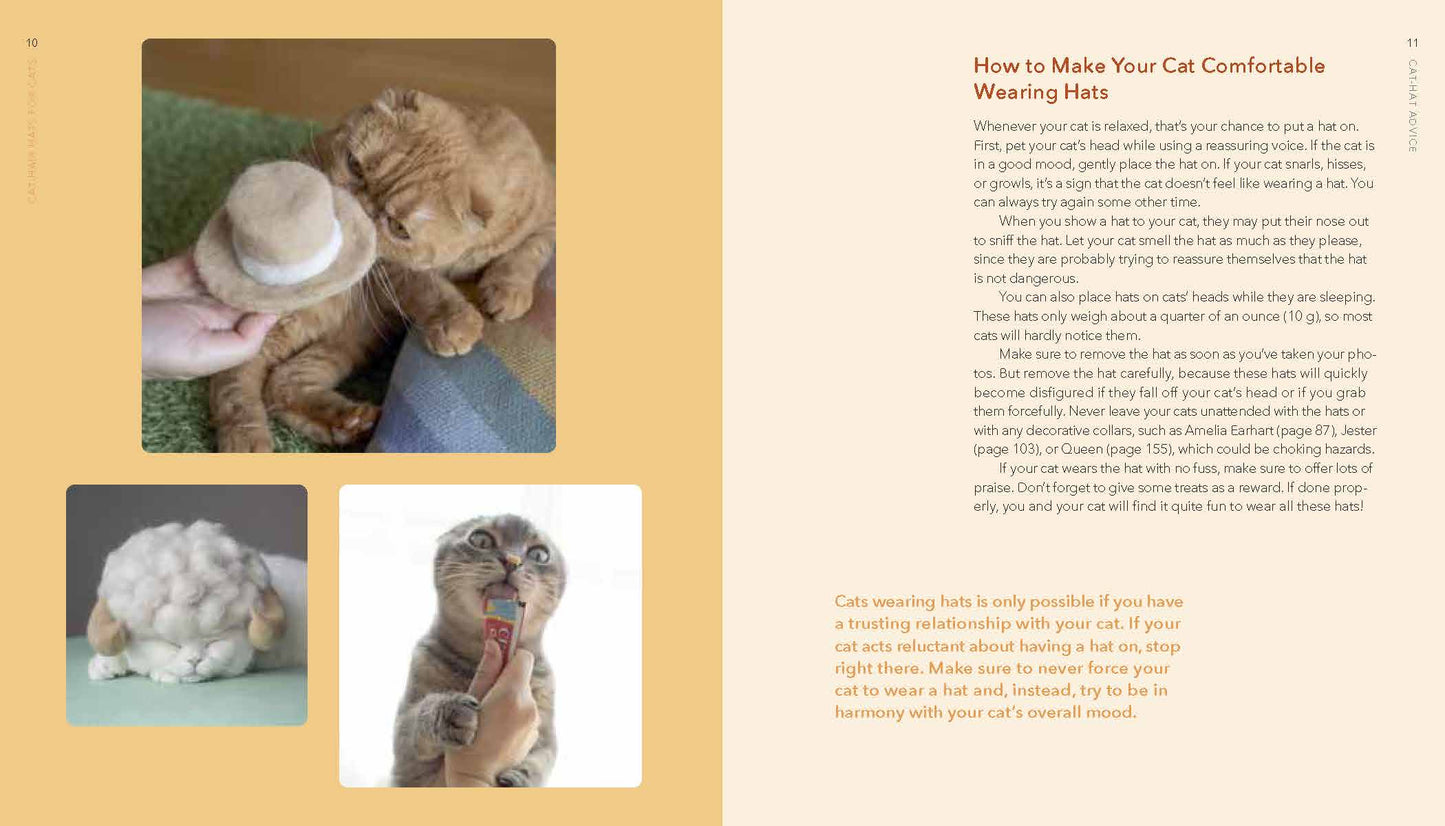 Cat-Hair Hats For Cats