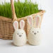Bunny Friends Mini Needle Felting Kit